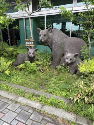 IMG_6854.jpeg